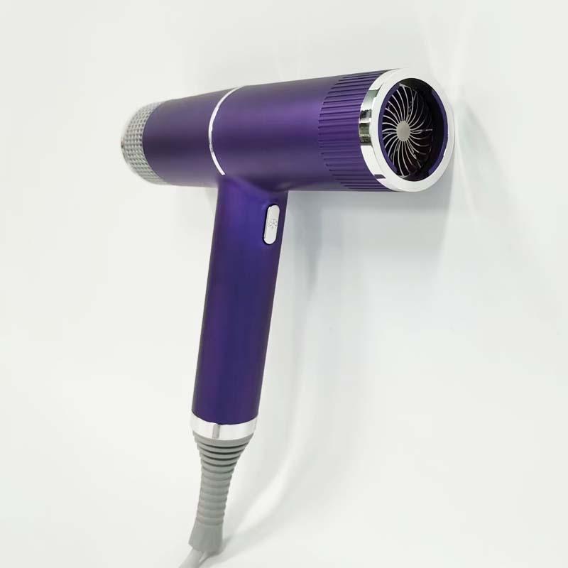 Portable Handheld Hair Dryer, Professional Negative Ion Electric Blow Dryer, Adjustable Speed Hair Dryer, Hair Styling Tool for Home & Travel