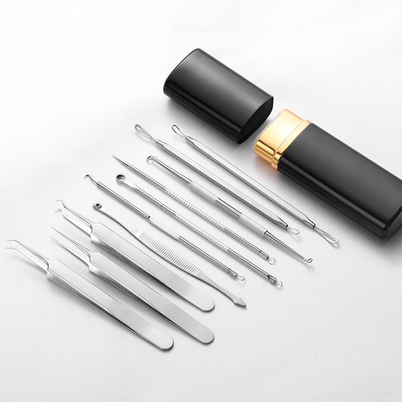 Professional Acne Needle Tool Set with Storage Case, 10pcs set Stainless Steel Blackhead Remover Tool, Skincare Tools for Women & Men